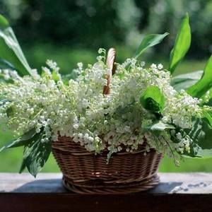 Meet your Posher, Kerri